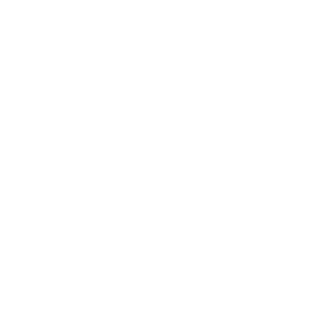 Alpes Entretien Toitures — Protéger · Entretenir · Valoriser